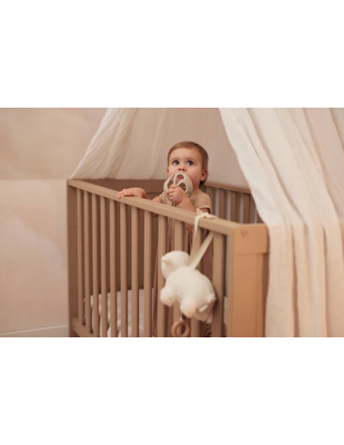 Baby silikonska lopta za zube - nježno siva