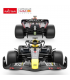 Auto na daljinsko upravljanje Oracle Red Bull Racing