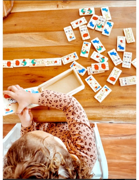 Domino farma Legler®