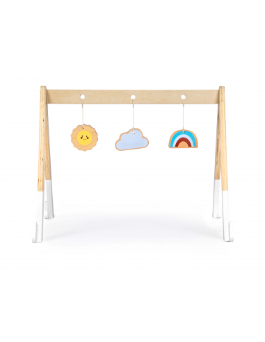 Baby gym Ecotoys®