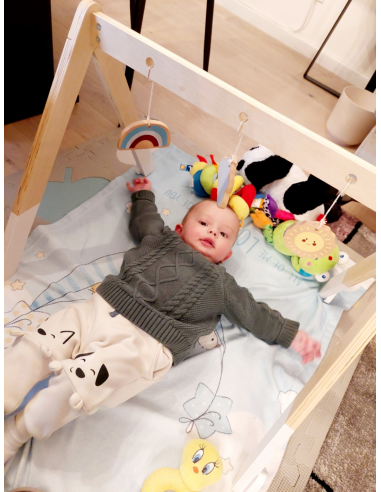 AKCIJA! Baby gym Ecotoys®