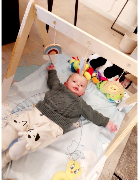 AKCIJA! Baby gym Ecotoys®