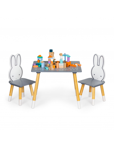 Set dječji stol i stolice Ecotoys® - sivi