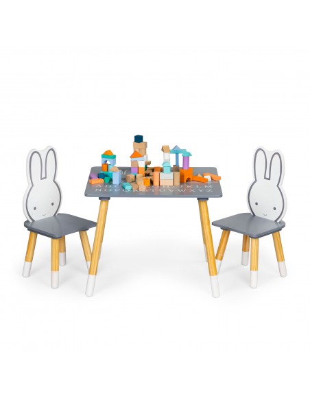 Set dječji stol i stolice Ecotoys® - sivi