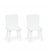 Stol + 2 stolice set Ecotoys®
