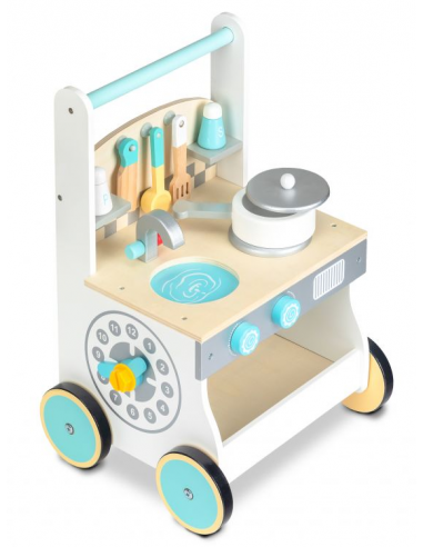 Baby walker 2 u 1 Ecotoys®