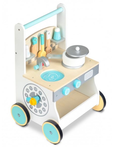 Baby walker 2 u 1 Ecotoys®