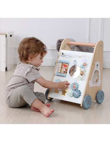 Baby walker didaktički Ecotoys®