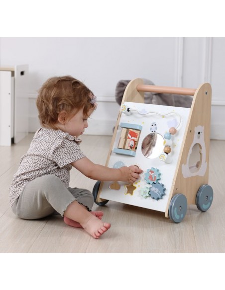 Baby walker didaktički Ecotoys®