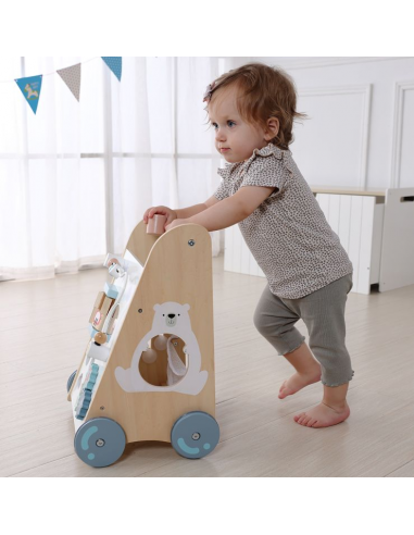 Baby walker didaktički Ecotoys®